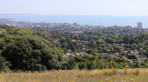 wide angle photo of the downs looking down towards the town of eastbourne
