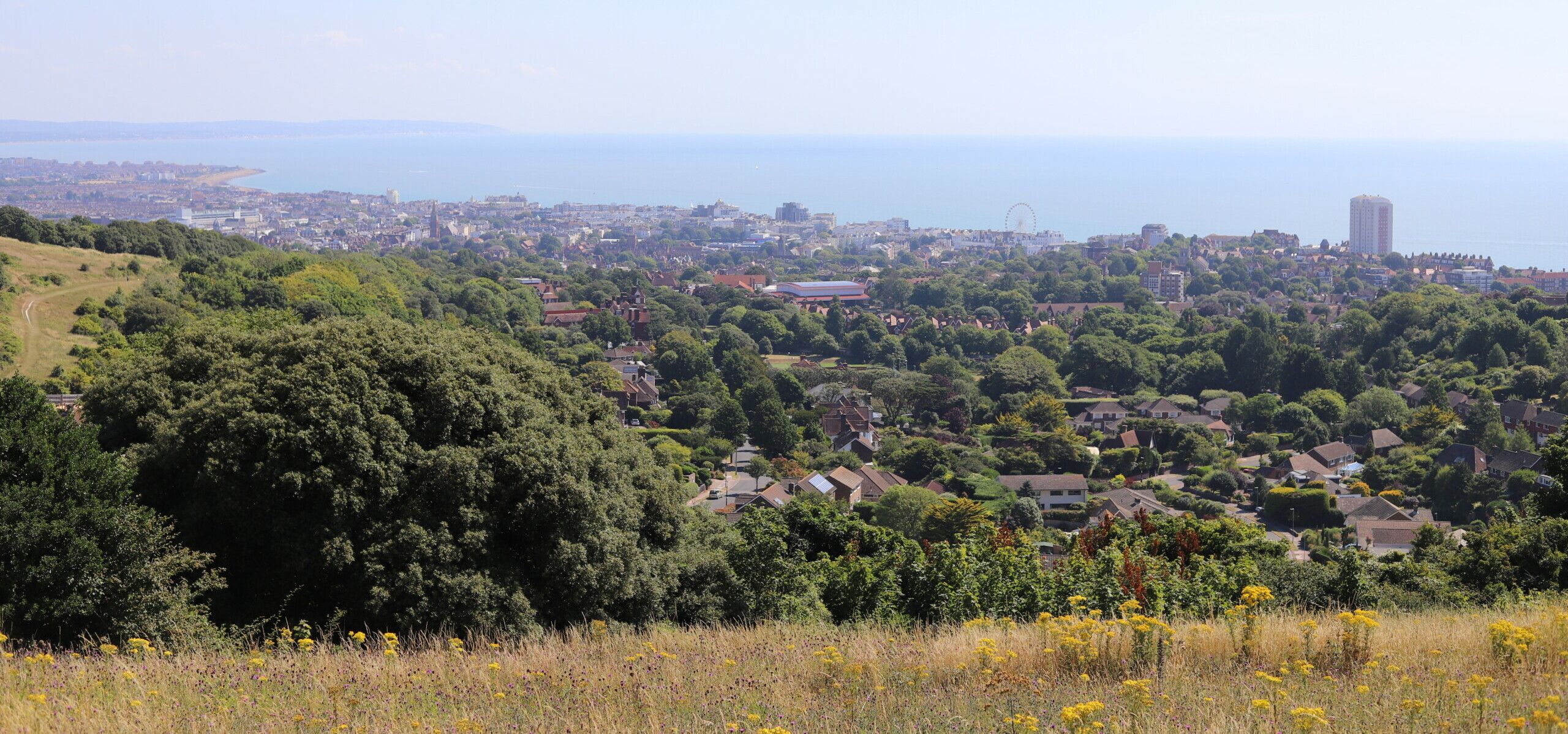 wide angle photo of the downs looking down towards the town of eastbourne